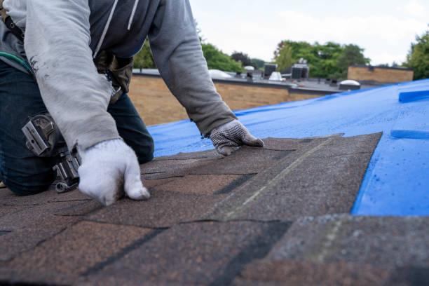 Best Roof Leak Repair  in Thompson, ND