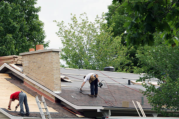 Best Roof Repair Specialists  in Thompson, ND