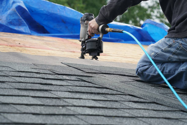 Best Roof Gutter Cleaning  in Thompson, ND