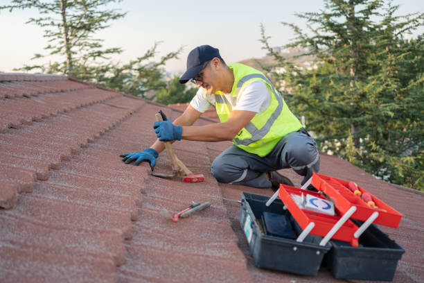 Best Residential Roofing Contractor  in Thompson, ND