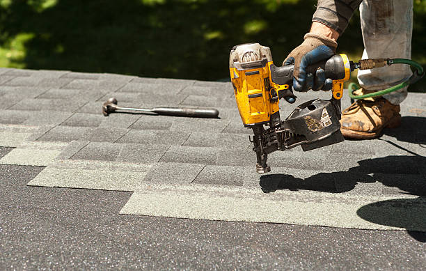 Best Roof Repair Services  in Thompson, ND