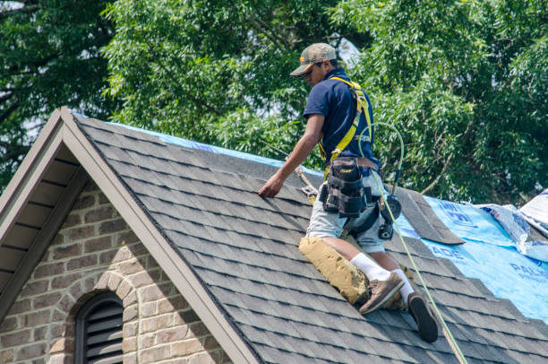 Best Roof Repair Services  in Thompson, ND